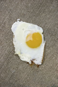 Hot weather concrete, fried egg on concrete sidewalk