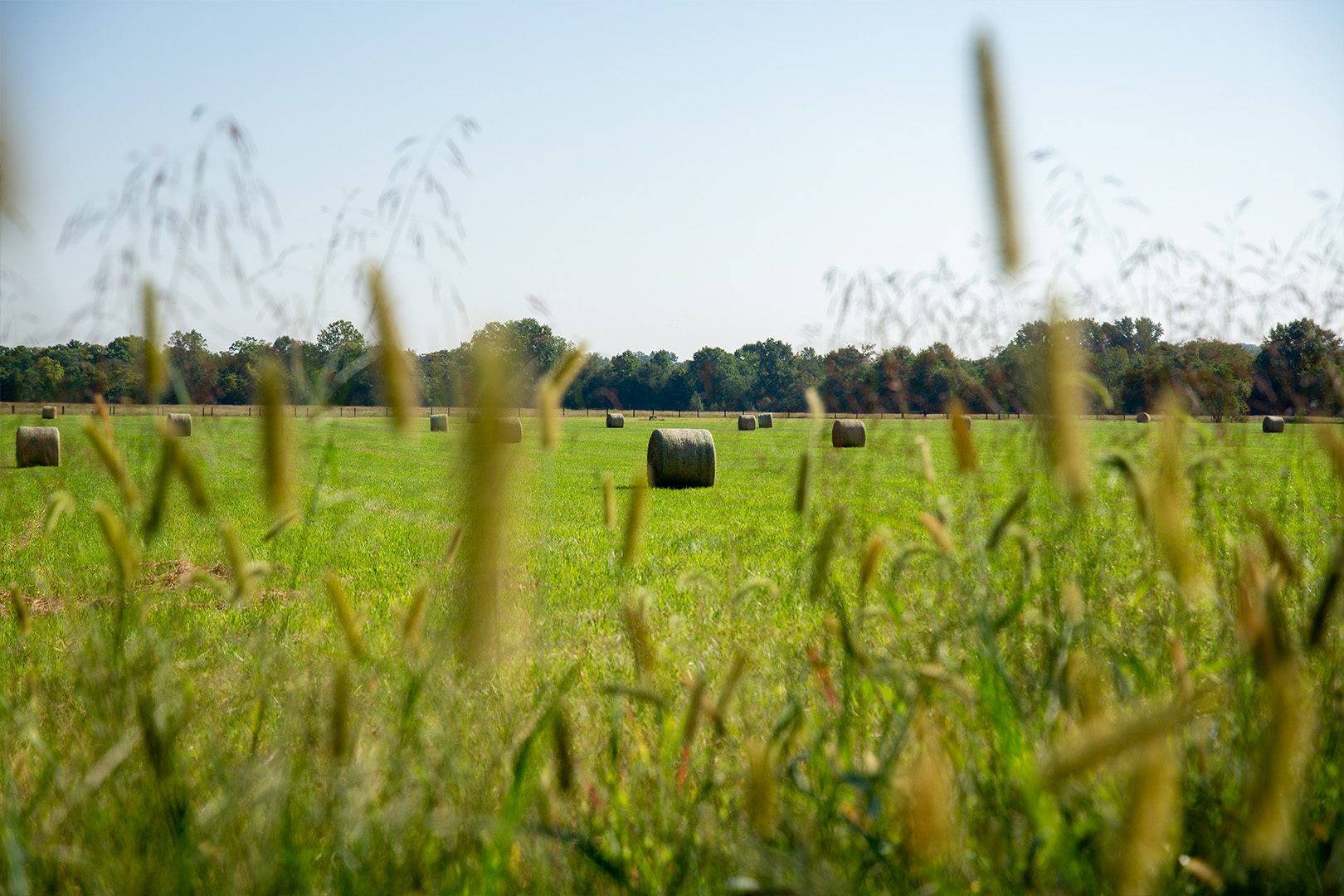Reclaiming the Land: How Chaney & Silver Companies Are Growing More Than Materials in Woodford, VA